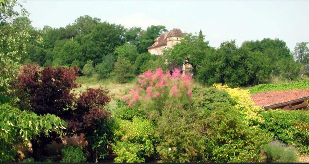 Chateau De Beduer And Vacation Homes エクステリア 写真